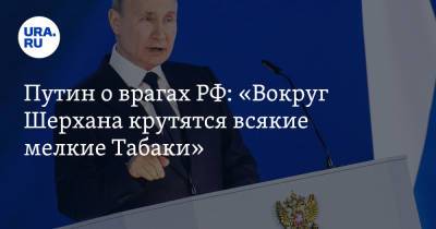 Владимир Путин - Редьярд Киплинг - Путин о врагах РФ: «Вокруг Шерхана крутятся всякие мелкие Табаки» - ura.news - Москва
