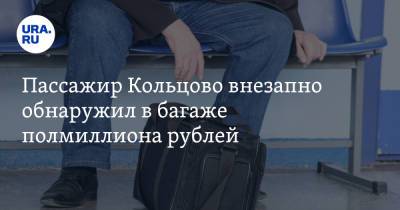 Пассажир Кольцово внезапно обнаружил в багаже полмиллиона рублей - ura.news - Санкт-Петербург - Екатеринбург - Уфа