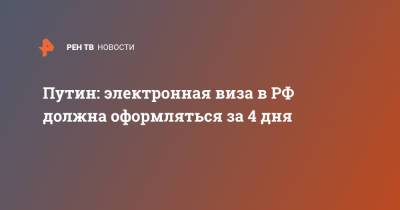 Владимир Путин - Путин: электронная виза в РФ должна оформляться за 4 дня - ren.tv - Россия