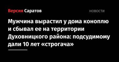 Мужчина вырастил у дома коноплю и сбывал ее на территории Духовницкого района: подсудимому дали 10 лет «строгача» - nversia.ru - Саратовская обл.