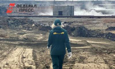 Владимир Путин - Эксперт отметил перспективность проектов по экологии, о которых заявил президент - fedpress.ru - Красноярск - Норильск - Экология