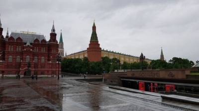 Владимир Путин - Алексей Навальный - Дмитрий Песков - Политолог объяснил, почему незаконные акции в поддержку Навального провалятся в РФ - inforeactor.ru