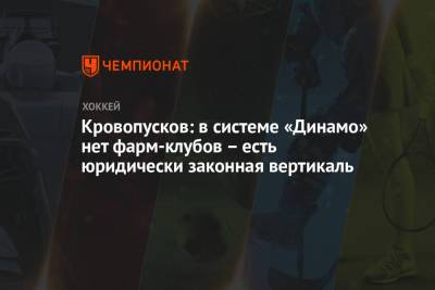 Кровопусков: в системе «Динамо» нет фарм-клубов – есть юридически законная вертикаль - championat.com - Москва - Санкт-Петербург - Московская обл. - Красногорск
