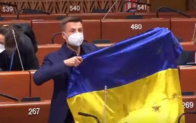 Владимир Путин - Ангела Меркель - В Совете Европы принесли России извинения за провокацию украинского депутата - topcor.ru
