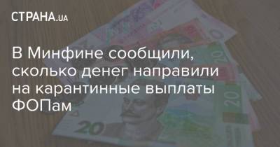 В Минфине сообщили, сколько денег направили на карантинные выплаты ФОПам - strana.ua