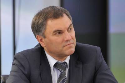 Вячеслав Володин - Валерий Рязанский - В Госдуме уже сегодня обсудят принятие законов по поручениям президента - mk.ru
