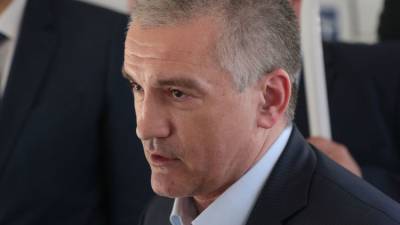 Сергей Аксенов - Безопасность в российском Крыму обеспечена в полном объеме – Аксенов - crimea.ria.ru - Крым - Симферополь - Russia