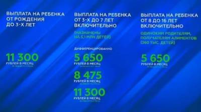 Владимир Путин - Пять выплат, которые будут произведены в этом году по поручению Путина - penzainform.ru