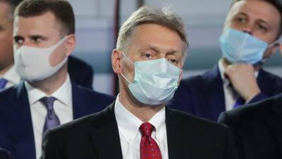 Владимир Путин - Дмитрий Песков - Ольга Любимова - Песков заявил о быстрой подготовке поручений по итогам послания Путина - iz.ru - Израиль