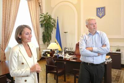 Дмитрий Сологуб - Екатерина Рожкова - Суд отменил выговоры Рожковой и Сологубу – медиа - epravda.com.ua - Киев