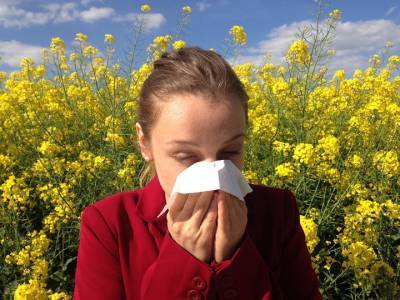 Аллерголог-иммунолог поделилась советами, как бороться с аллергией на пыльцу - vm.ru - Московская обл.