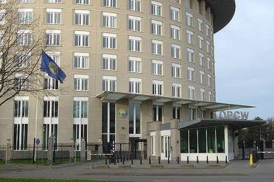 Мария Захарова - ОЗХО приостановила права и привилегии Сирии в организации - aif.ru - Сирия - Англия