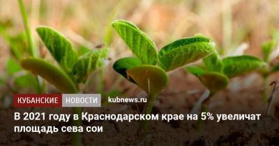 В 2021 году в Краснодарском крае на 5% увеличат площадь сева сои - kubnews.ru - Краснодарский край