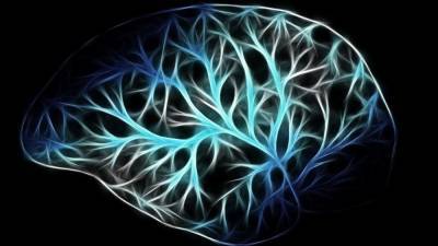Биологи из Великобритании объяснили, как коронавирус поражает мозг - inforeactor.ru - Англия