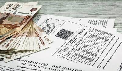 Депутаты в Башкирии предложили заморозить тарифы на услуги ЖКХ из-за сложности оплаты - mkset.ru - Башкирия