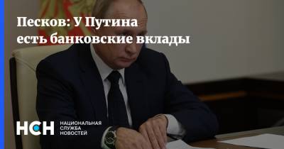 Владимир Путин - Дмитрий Песков - Песков: У Путина есть банковские вклады - nsn.fm