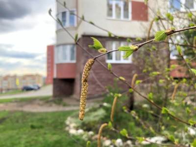 В Башкирии ожидается похолодание до -4 градусов - ufacitynews.ru - Башкирия - Уфа