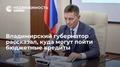 Владимир Путин - Владимир Сипягин - Владимирский губернатор рассказал, куда могут пойти бюджетные кредиты - realty.ria.ru - Россия - Владимирская обл. - Рязань