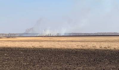 Больше 200 пожаров зафиксировано в Тюменской области из-за сухой травы - nashgorod.ru - Тюменская обл.