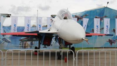 Эксперты назвали причину крушения истребителя Су-30СМ в Казахстане - nation-news.ru - Карагандинская обл.