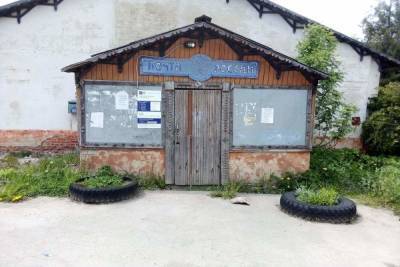 Тульская почта запланировала тотальную борьбу с грызунами - tula.mk.ru - Тульская обл.