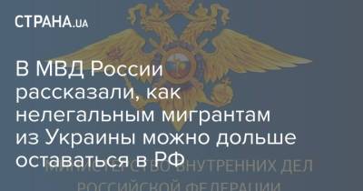 В МВД России рассказали, как нелегальным мигрантам из Украины можно дольше оставаться в РФ - strana.ua - Россия