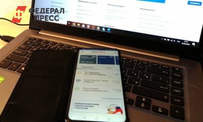 Прикамцы могут протестировать систему дистанционного электронного голосования - fedpress.ru - Пермь - Пермский край