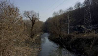В Киеве планируют расчистить речку Лыбедь - lenta.ua - Киев - район Дарницкий