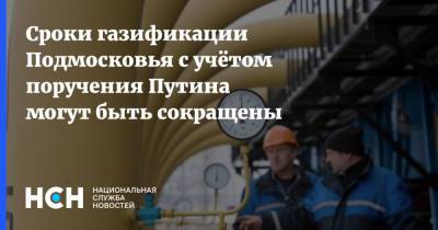 Владимир Путин - Сроки газификации Подмосковья с учётом поручения Путина могут быть сокращены - nsn.fm - Московская обл.