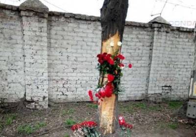 В Ростовской области прощаются с юным виновником пьяного ДТП, он убил 4 друзей - ukrpost.biz - Ростовская обл. - Новочеркасск