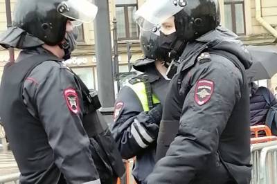 В МВД назвали города, в которых никто не пришел на незаконные акции - aif.ru - Москва - Санкт-Петербург - Великий Новгород - Кызыл