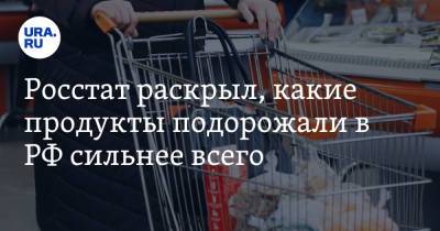 Росстат раскрыл, какие продукты подорожали в РФ сильнее всего - ura.news