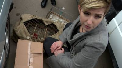 «Не доживают до продажи». В Воронеже с нелегальных базаров спасли около 40 певчих птиц - vestivrn.ru - Воронеж - Астраханская обл. - Омская обл.