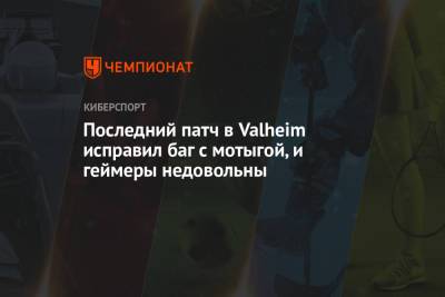 Последний патч в Valheim исправил баг с мотыгой, и геймеры недовольны - championat.com