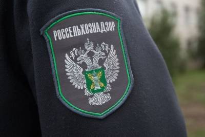 В Ярославской области обнаружили заброшенные земельные угодья - yar.mk.ru - Ярославская обл. - район Рыбинский