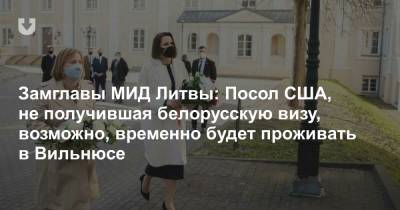 Джули Фишер - Светлана Тихановская - Замглавы МИД Литвы: Посол США, не получившая белорусскую визу, возможно, временно будет проживать в Вильнюсе - news.tut.by - Литва - Вильнюс - Визы