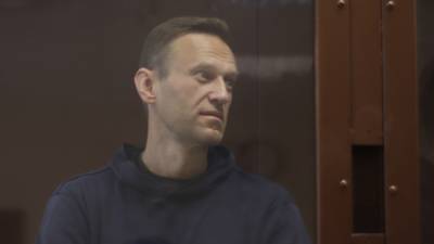 Алексей Навальный - Михаил Ходорковский - Леонид Волков - Россияне не стали поддерживать Навального на незаконных митингах - newinform.com - Пермь - Участники