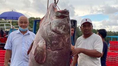 Малазийский рыбак поймал рыбу весом более 160 кг (фото) - lenta.ua