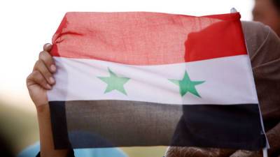 Сирия заявило, что резолюция ОЗХО нарушила Устав организации - gazeta.ru - Сирия - Сана - Гаага