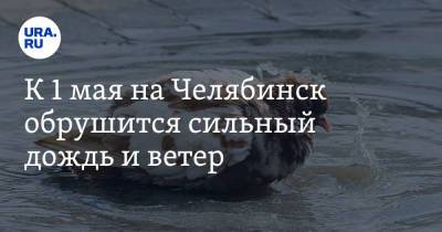 К 1 мая на Челябинск обрушится сильный дождь и ветер - ura.news - Челябинск