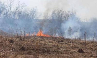 Пожароопасный сезон в Тюменской области: произошло уже больше 200 возгораний - news.megatyumen.ru - Тюменская обл.