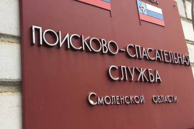 37 боеприпасов времен войны обезвредили саперы в Смоленской области - mk-smolensk.ru - Смоленск - Смоленская обл.