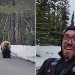 В США черный медведь преследовал бегуна. Видео - reporter-ua.com - США - штат Вайоминг