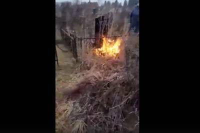В Тверской области поджигателей кладбища поймали за руку - tver.mk.ru - Москва - Тверь - Тверская обл. - район Ржевский
