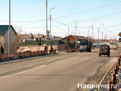 В Лабытнанги бродячие собаки у здания мэрии напали на горожанку - nakanune.ru - Нападение