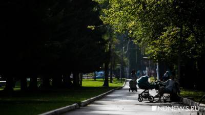 Владимир Путин - Новые выплаты родителям – что изменится после послания Путина - newdaynews.ru