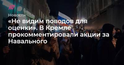 Владимир Путин - Алексей Навальный - «Не видим поводов для оценки». В Кремле прокомментировали акции за Навального - tvrain.ru - Владимирская обл.