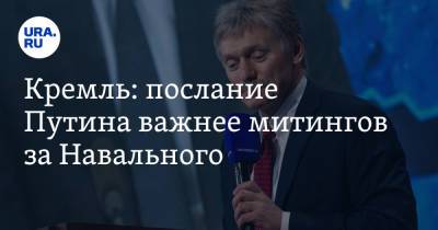Владимир Путин - Алексей Навальный - Дмитрий Песков - Кремль: послание Путина важнее митингов за Навального - ura.news