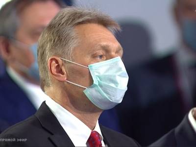 Владимир Путин - Алексей Навальный - Дмитрий Песков - В Кремле уличные акции в поддержку Навального назвали «темой для органов внутренних дел» - rosbalt.ru