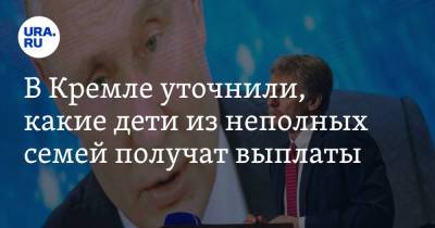 Владимир Путин - Дмитрий Песков - В Кремле уточнили, какие дети из неполных семей получат выплаты - ura.news - Москва